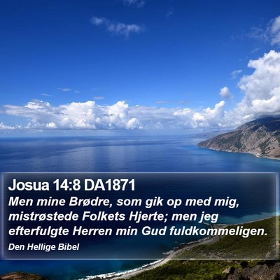 Josua 14:8 DA1871 Bible Verse Image