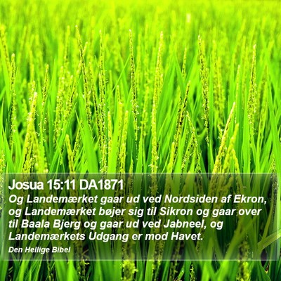 Josua 15:11 DA1871 Bible Verse Image