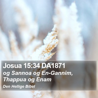 Josua 15:34 DA1871 Bible Verse Image