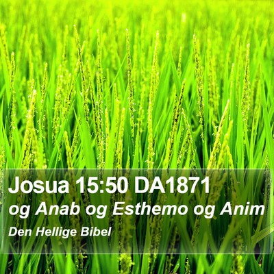 Josua 15:50 DA1871 Bible Verse Image