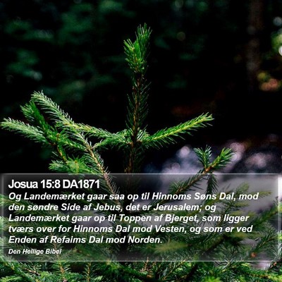 Josua 15:8 DA1871 Bible Verse Image