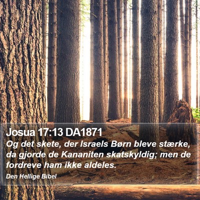 Josua 17:13 DA1871 Bible Verse Image