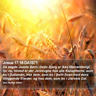 Josua 17:16 DA1871 Bible Verse Image