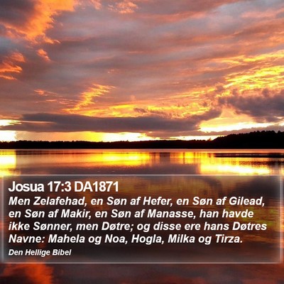 Josua 17:3 DA1871 Bible Verse Image