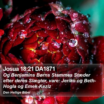 Josua 18:21 DA1871 Bible Verse Image
