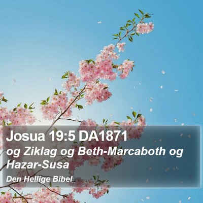Josua 19:5 DA1871 Bible Verse Image