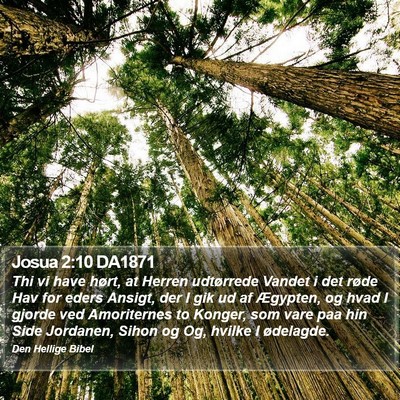 Josua 2:10 DA1871 Bible Verse Image