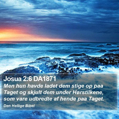 Josua 2:6 DA1871 Bible Verse Image