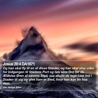 Josua 20:4 DA1871 Bible Verse Image