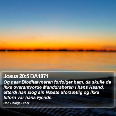 Josua 20:5 DA1871 Bible Verse Image