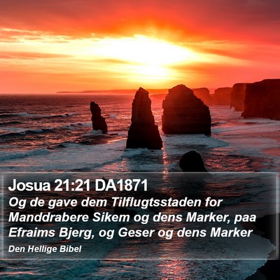 Josua 21:21 DA1871 Bible Verse Image