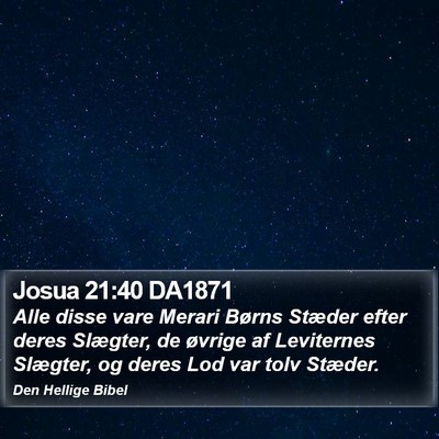 Josua 21:40 DA1871 Bible Verse Image