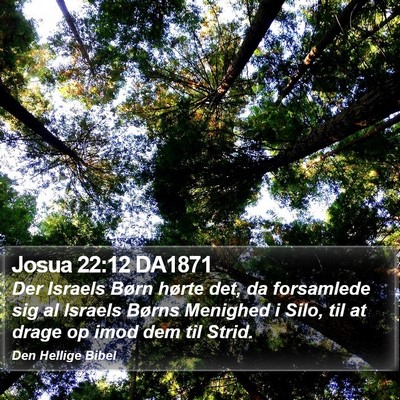 Josua 22:12 DA1871 Bible Verse Image