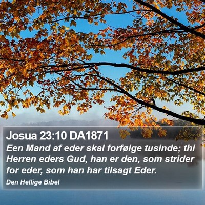 Josua 23:10 DA1871 Bible Verse Image