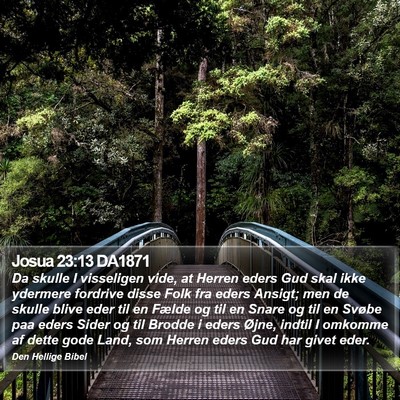 Josua 23:13 DA1871 Bible Verse Image