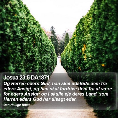 Josua 23:5 DA1871 Bible Verse Image