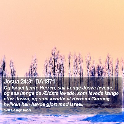 Josua 24:31 DA1871 Bible Verse Image