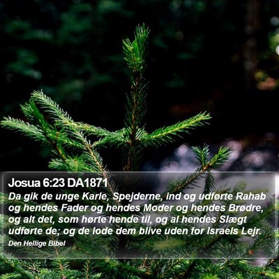 Josua 6:23 DA1871 Bible Verse Image