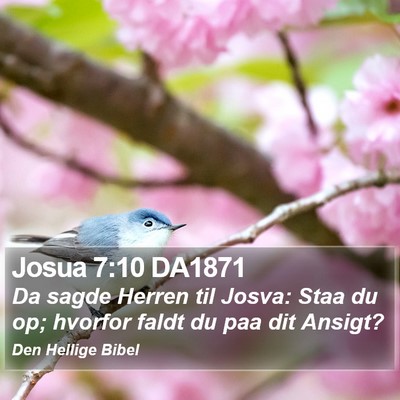 Josua 7:10 DA1871 Bible Verse Image
