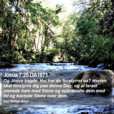 Josua 7:25 DA1871 Bible Verse Image