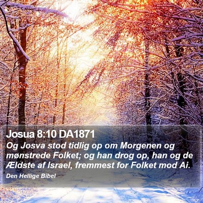 Josua 8:10 DA1871 Bible Verse Image