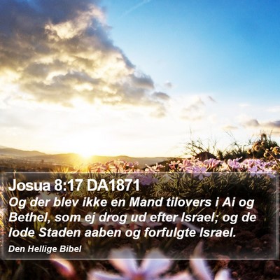 Josua 8:17 DA1871 Bible Verse Image