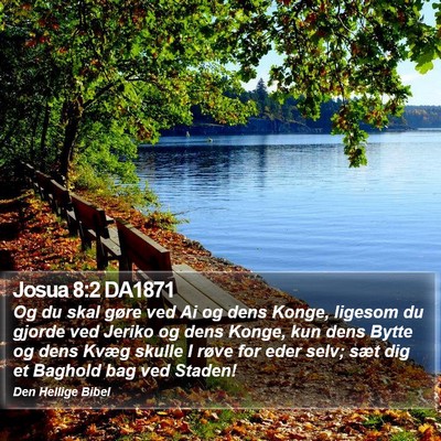 Josua 8:2 DA1871 Bible Verse Image