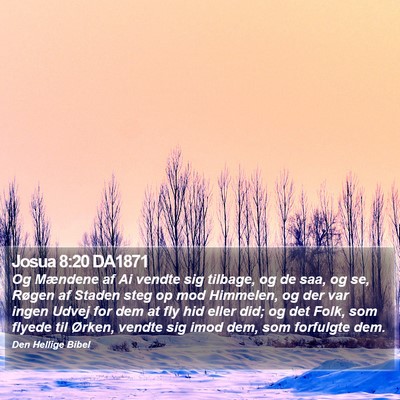 Josua 8:20 DA1871 Bible Verse Image