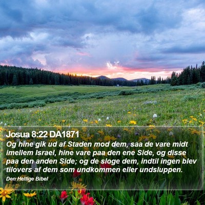 Josua 8:22 DA1871 Bible Verse Image