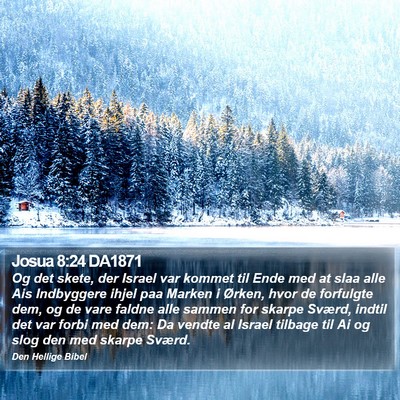 Josua 8:24 DA1871 Bible Verse Image