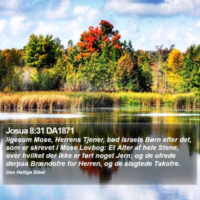 Josua 8:31 DA1871 Bible Verse Image