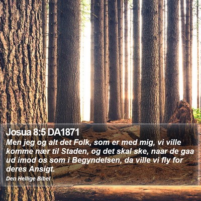 Josua 8:5 DA1871 Bible Verse Image