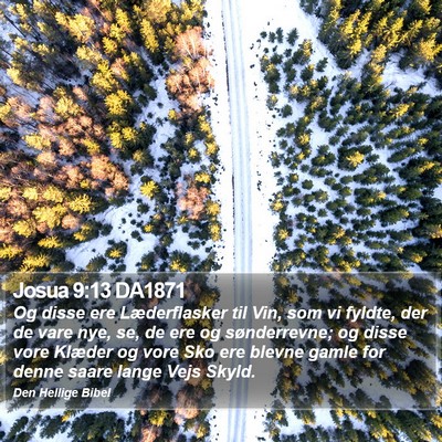 Josua 9:13 DA1871 Bible Verse Image