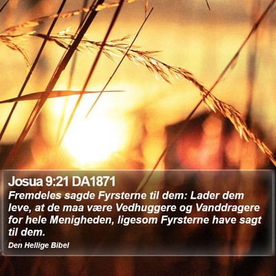 Josua 9:21 DA1871 Bible Verse Image