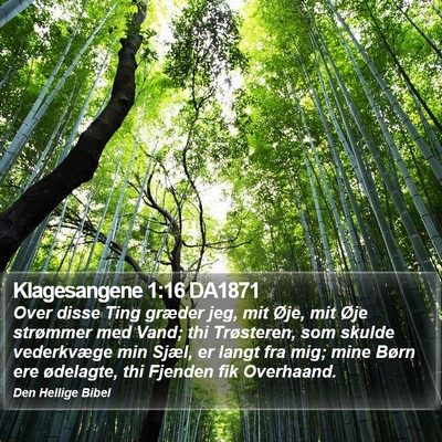Klagesangene 1:16 DA1871 Bible Verse Image