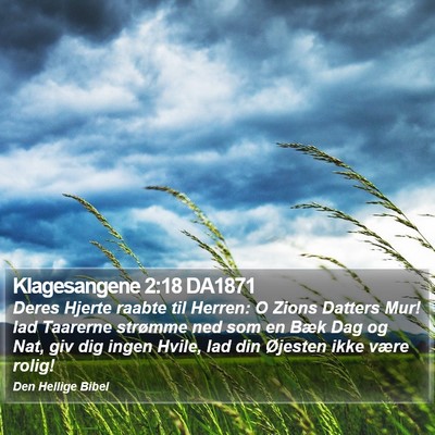 Klagesangene 2:18 DA1871 Bible Verse Image