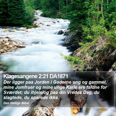 Klagesangene 2:21 DA1871 Bible Verse Image