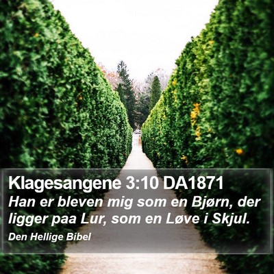 Klagesangene 3:10 DA1871 Bible Verse Image