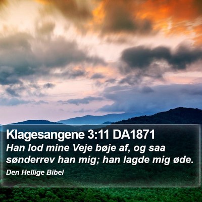 Klagesangene 3:11 DA1871 Bible Verse Image