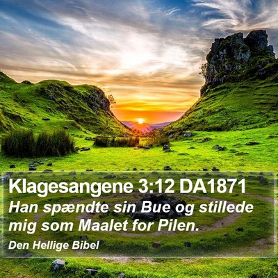 Klagesangene 3:12 DA1871 Bible Verse Image