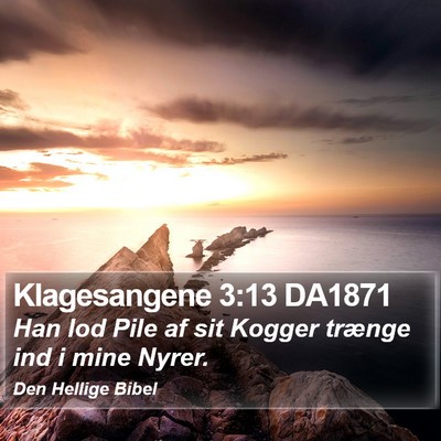 Klagesangene 3:13 DA1871 Bible Verse Image