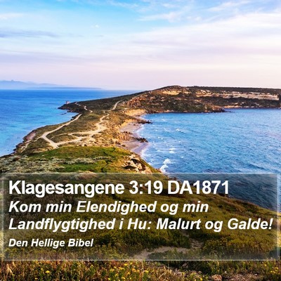 Klagesangene 3:19 DA1871 Bible Verse Image