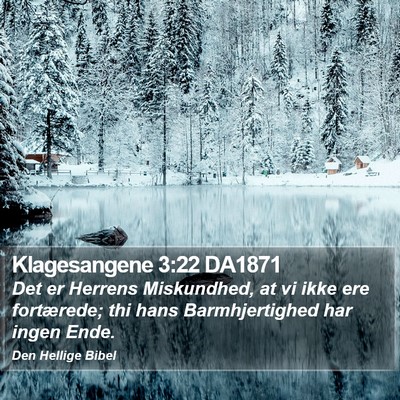 Klagesangene 3:22 DA1871 Bible Verse Image