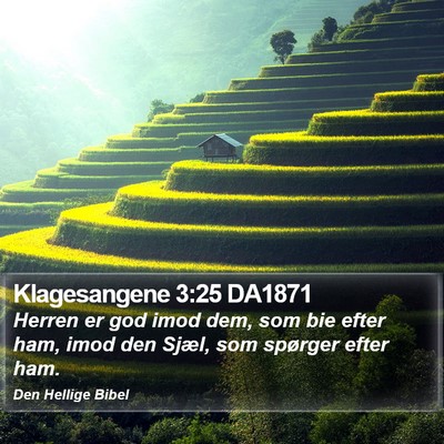 Klagesangene 3:25 DA1871 Bible Verse Image