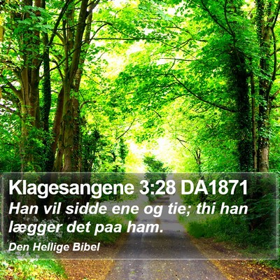 Klagesangene 3:28 DA1871 Bible Verse Image