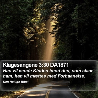 Klagesangene 3:30 DA1871 Bible Verse Image