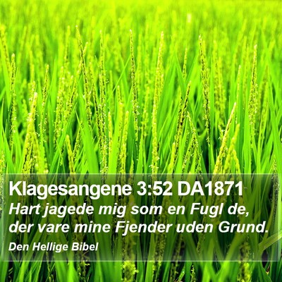 Klagesangene 3:52 DA1871 Bible Verse Image