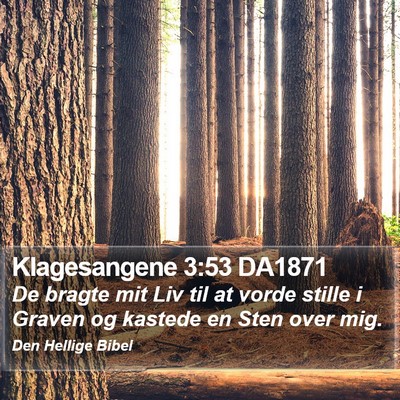 Klagesangene 3:53 DA1871 Bible Verse Image