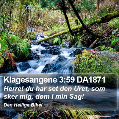 Klagesangene 3:59 DA1871 Bible Verse Image