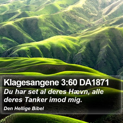 Klagesangene 3:60 DA1871 Bible Verse Image